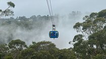 Blue Mountains Private Tour -Main Attractions -Pick up & Drop off