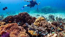 Explore Scuba Diving at Racha Yai Island from Phuket