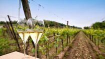 Franciacorta Wine Tasting Tour from Milan with Lake Iseo Cruise