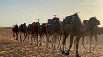 3 Day Desert Tour to Merzouga from Marrakech
