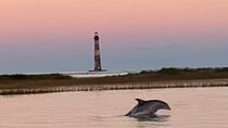 Folly River Dolphin Adventure (options for private or public)