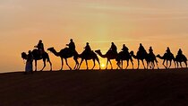 Agafay Desert Experience:Quad Biking,Camel Ride and Dinner Show