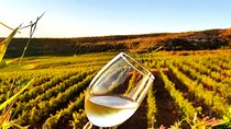 Durrës Countryside Vineyard Experience with Wine & Food Pairing