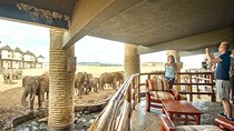3 Days Saltlick and Tsavo West Luxury Safari from Nairobi