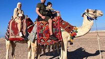 Camel Ride (1 Hour) – Explore the Desert Wonders -Sharm El Sheikh