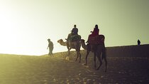 Agadir Desert Tour: Quad, Sandboarding, Camel Ride + Photography