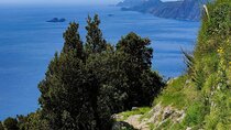 Path of the Gods: Guided Trekking on the Amalfi Coast