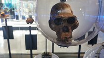 Sterkfontein Caves and Maropeng Museum Private Tour