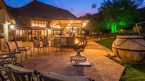 2 Day Pilanesberg Safari at Ivory Tree Game Lodge