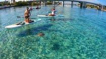 Private Jupiter Island Guided Paddle Boarding Tour
