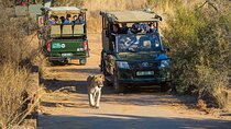 3 Days Pilanesberg National Park Shared Bus Tour
