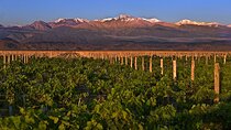 3-Day Mendoza Wine & Mountains