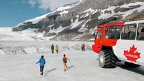 Columbia Icefield,Peyto Lake,Bow Lake Day Trip from Banff/Calgary