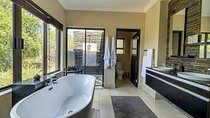 2-Day Pilanesberg Safari at Shepherd Tree Game Lodge