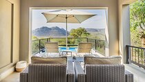 Pilanesberg Safari and Shepherd Tree Game Lodge Tour