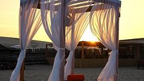 Doha: Full-Day Desert Safari With Lunch or BBQ Dinner at Camp