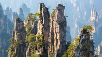 Private 1 Day Tour Zhangjiajie National Forest Park