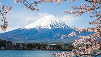 Private tour to Mount Fuji and Hakone from Tokyo