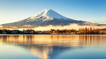 Instagram-worthy Mt. Fuji Spots & Kawaguchiko's Four Seasons Tour