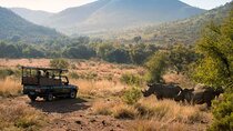 2 Days Pilanesberg Safari at Bakubung Lodge