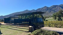 Private Stellenbosch and Franschhoek Wine Tour with Tram Ticket