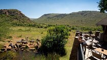 4 Day Pilanesberg Safari at Kwa Maritane Lodge