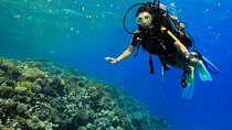 Marsa Mubarak Sea Trip Snorkeling, Diving & Lunch :Marsa Alam