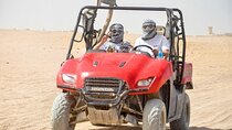Safari by Buggy Car With Camel Ride Trip & Transfer :Marsa Alam