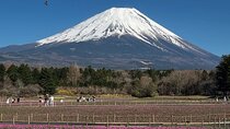 Mount Fuji and Hakone Private Tour with English Speaking Guide 