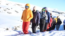 6 Days Machame Route Kilimanjaro Group Hiking and Climbing Tour