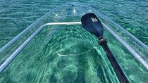 Inclusive Glass Boat Rental Peanut Island• Snorkel Gear & Snacks