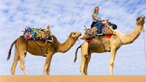Camel Riding 2 Hours At Amazing Desert With Transfer :Marsa Alam