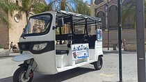 Private Tour with Tuktuk in Valencia