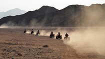 Agadir Off-Road Quad Tour & Berber Hospitality