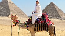  Private Tour To Pyramids of Giza Memphis Saqqara With Lunch
