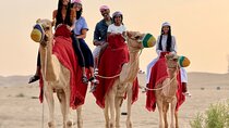 Private Desert Safari Abu Dhabi With Camel Ride BBQ Dinner Shows