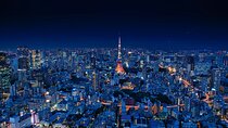 Tokyo Night Adventure with Skyline Views 