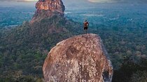 Pidurangala Rock Sunrise & Minneriya National Park Jeep Safari
