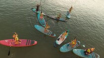 Rent Board Paddle Surf Sevilla 2 Hours
