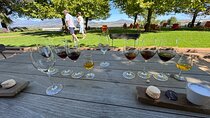 Full Day Tour to Wine Estates Stellenbosch, Franschhoek and Paarl