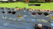 Private Winelands and Stellenbosch Franschhoek Wine Tasting tour