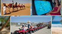 ATV Safari, Camel Ride, Semi-submarine, and Parachute - Hurghada