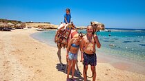 2 hours Camel Riding at Amazing Desert & Sea With Transfer - Hurghada