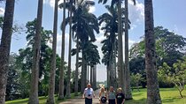 Aburi Botanical Gardens Escape from Accra