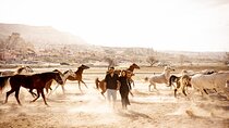 Cappadocia Photoshoot with Running Horses