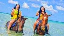 Horseback Ride and Swim Experience Montego with Transportation