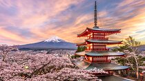 "Mt. Fuji 1-Day Private Tour with English Speaking Driver-Guide"