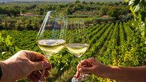 Wine Roads Private Day Tour: Corinth - Ancient Nemea & Wine Tasting