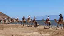 Blue Hole in Dahab By Bus with Lunch and Camel Ride - Sharm El-Sheikh