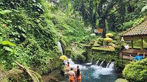 Healing and Adventure Trip in Ubud All Inclusive Journey